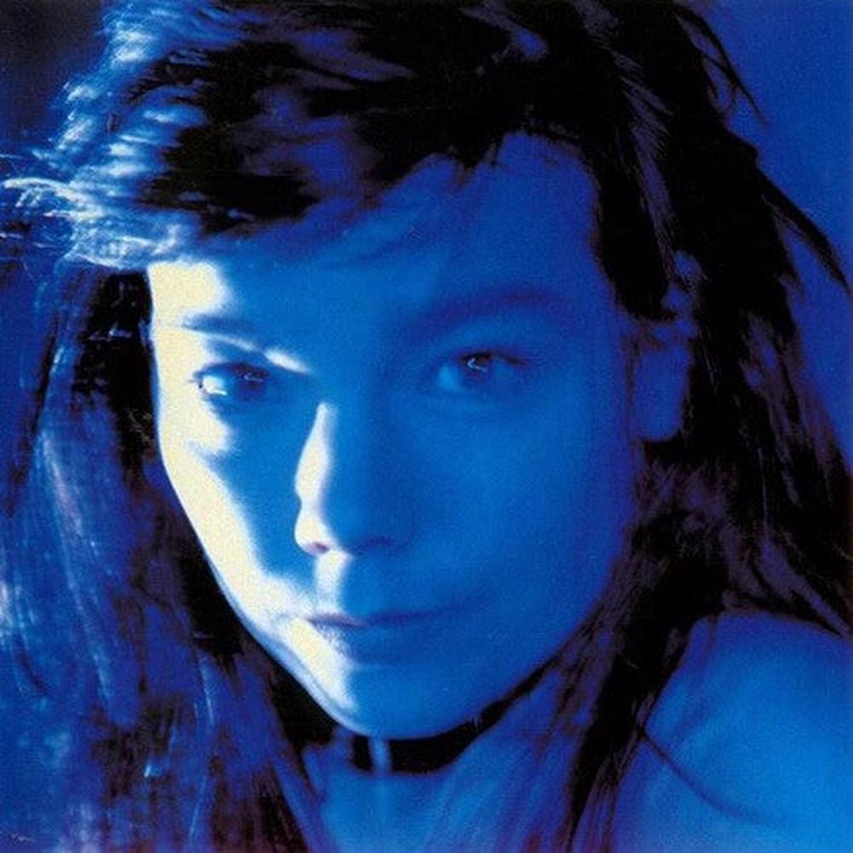 Bjork Telegram – Record Album – Vinyl LP
