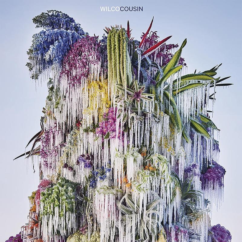CD – Wilco – Cousin
