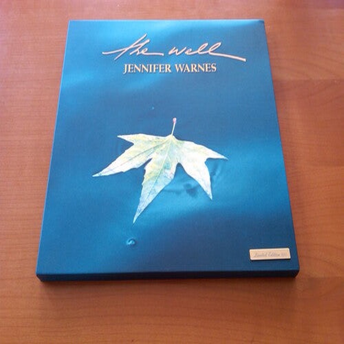 Jennifer Warnes The Well – Triple Record Album – Vinyl LP