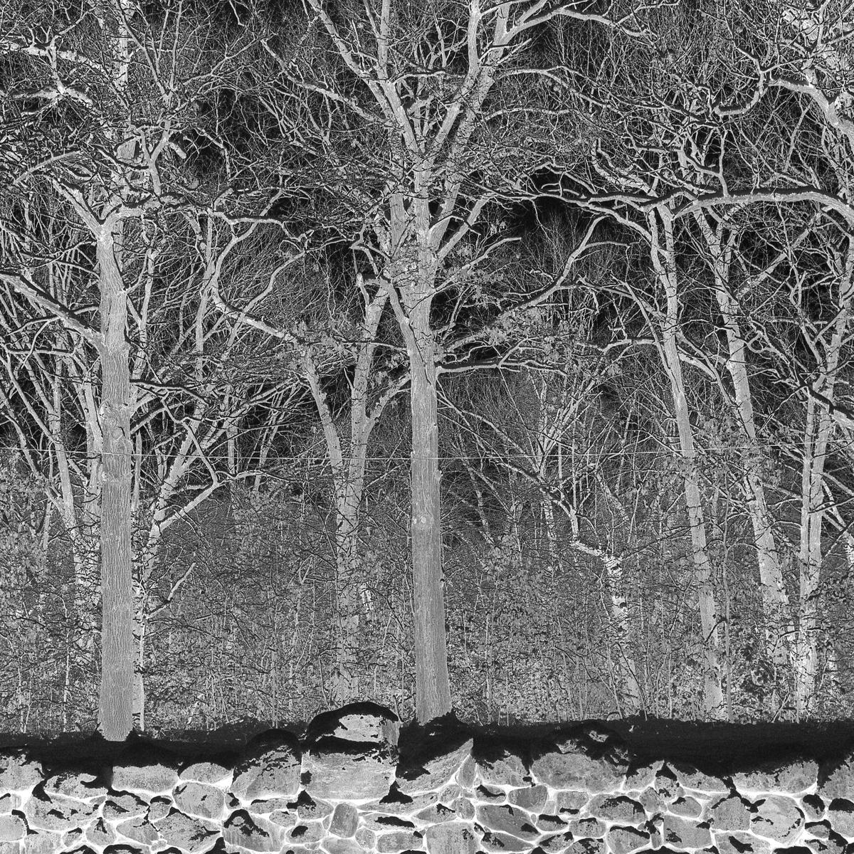 Pile “Sunshine and Balance Beams”