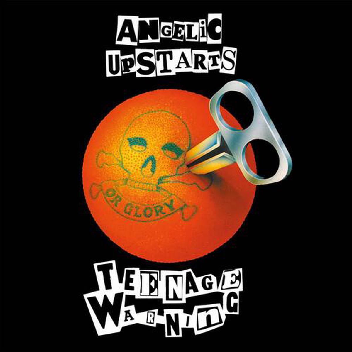 Teenage Warning – Gatefold Orange Vinyl – Vinyl LP
