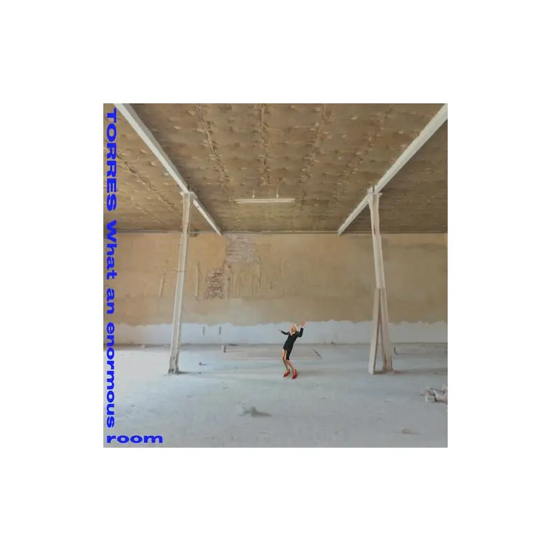 What An Enormous Room – Limited Edition Vinyl LP (Blue/White)