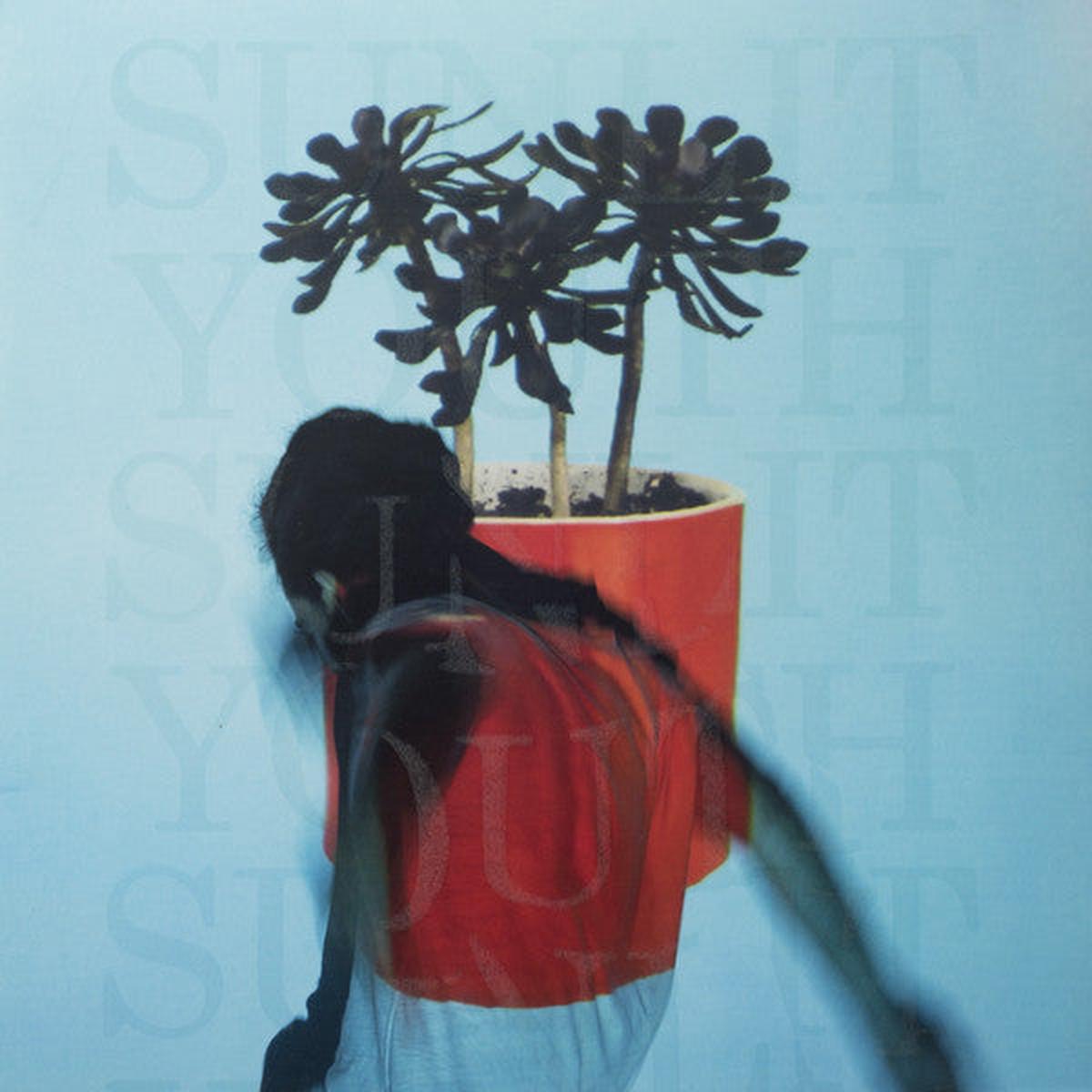 Local Natives – Sunlit Youth