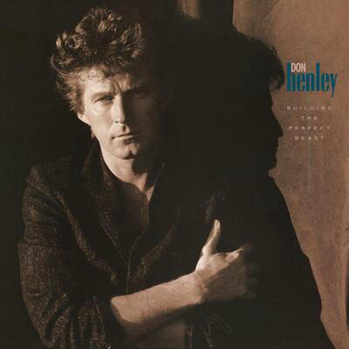 Building the Perfect Beast 8211 Don Henley VINYL