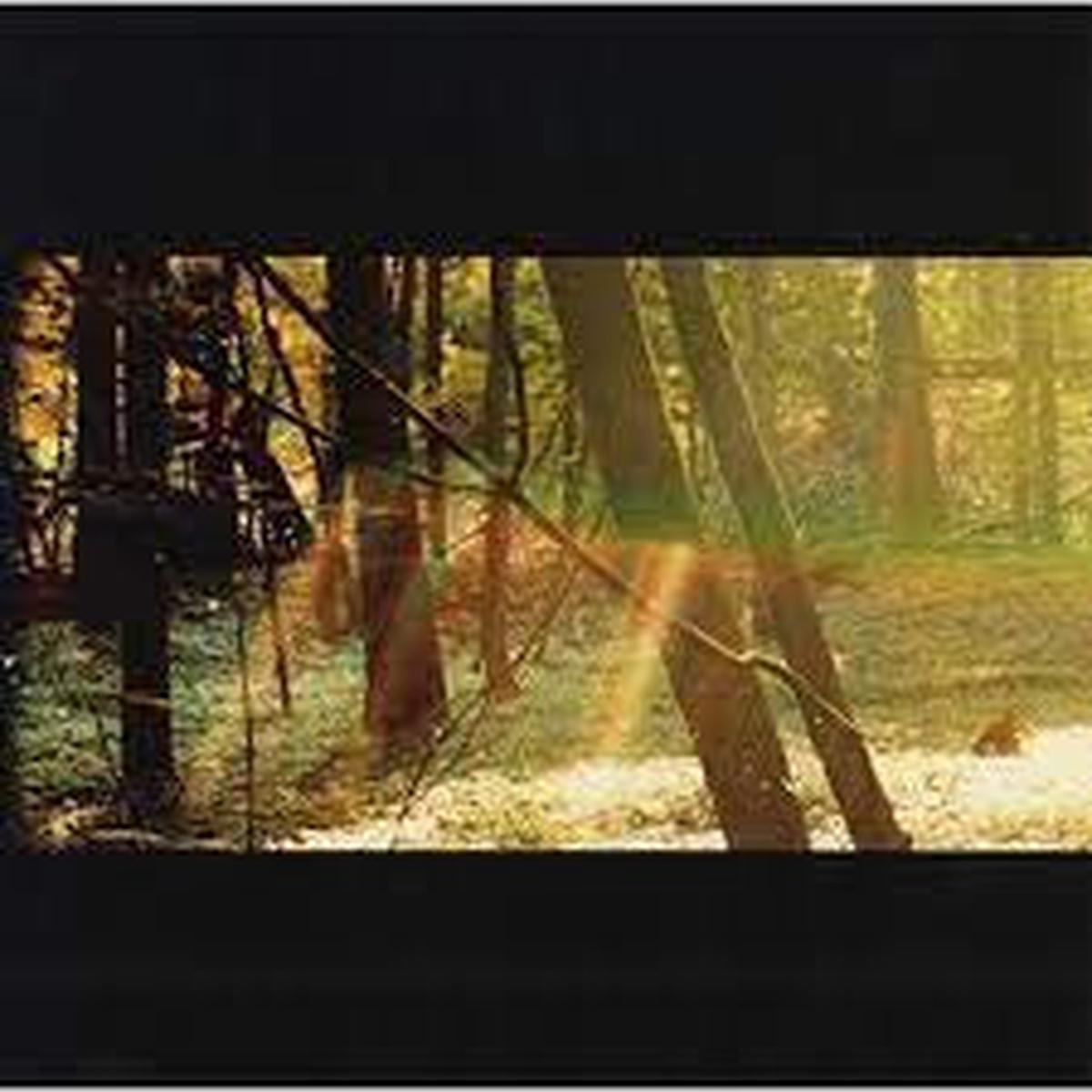 CHILDISH GAMBINO-CAMP 2LP VG+ COVER VG+
