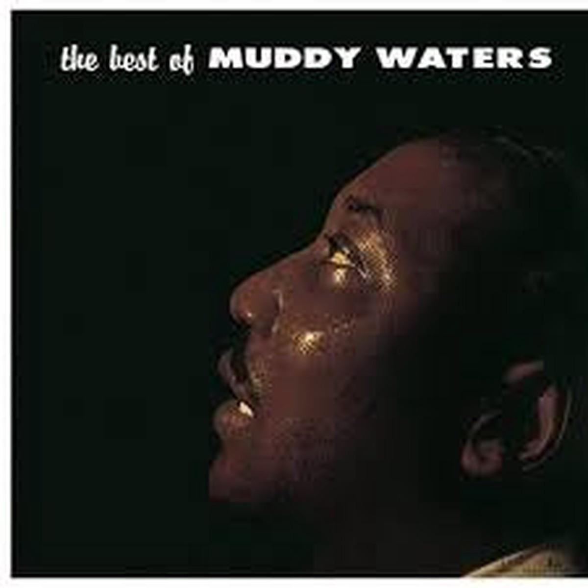 WATERS MUDDY-THE BEST OF LP NM COVER EX