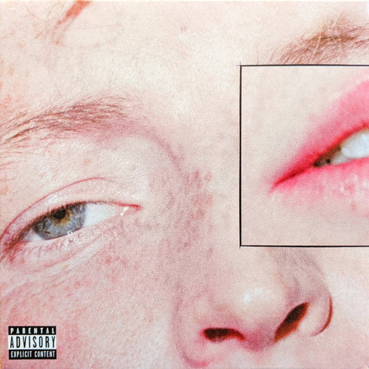Greeting Committee – Dandelion [Vinyl]