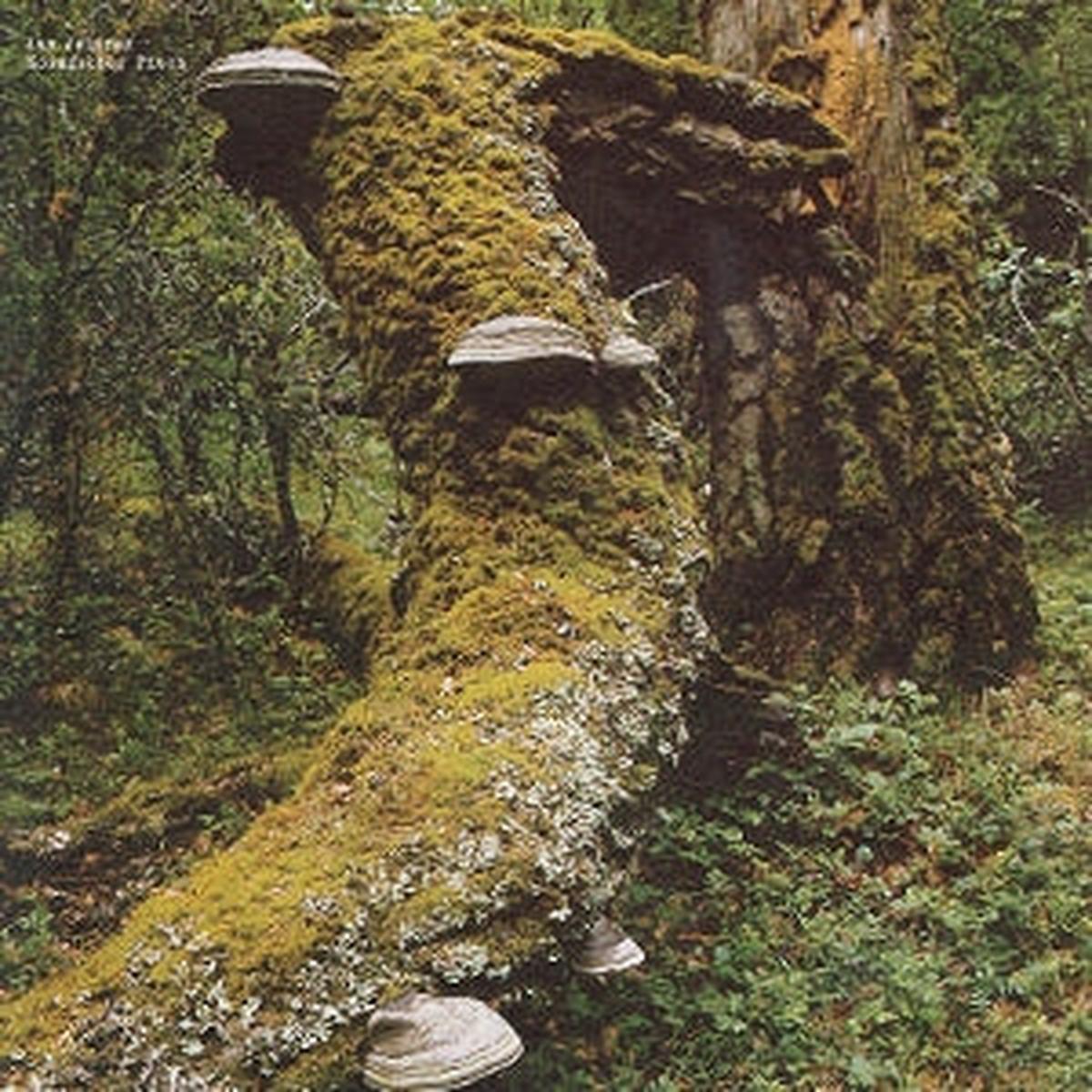 Jelinek, Jan – Kosmischer Pitch [Vinyl]