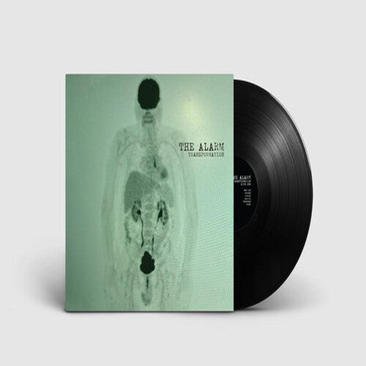 (PRESALE 5/29/26) Transformation (VINYL) | Mint (M) Mint (M) - - ALT/INDIE *NEW*