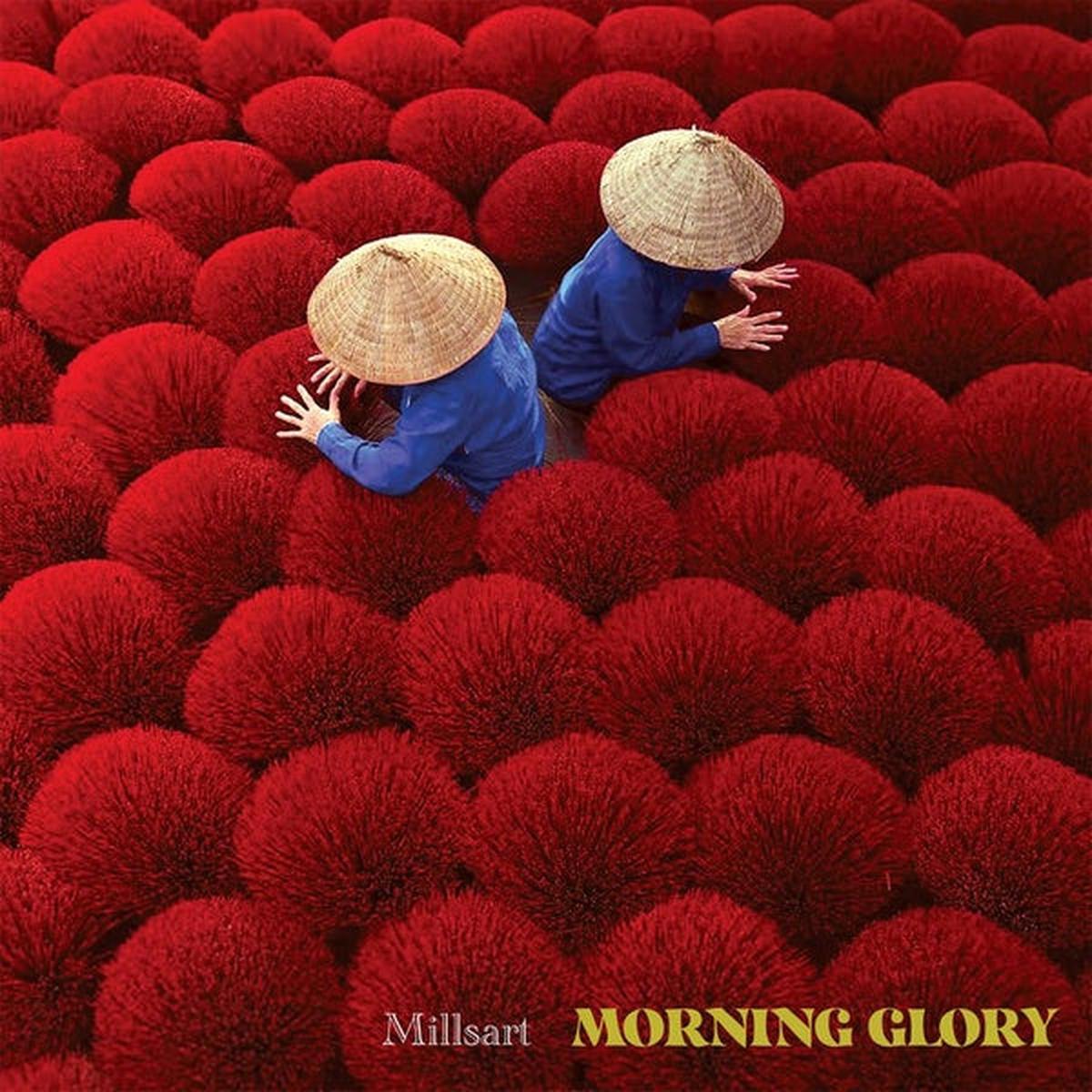 MILLSART Morning Glory – Default Title
