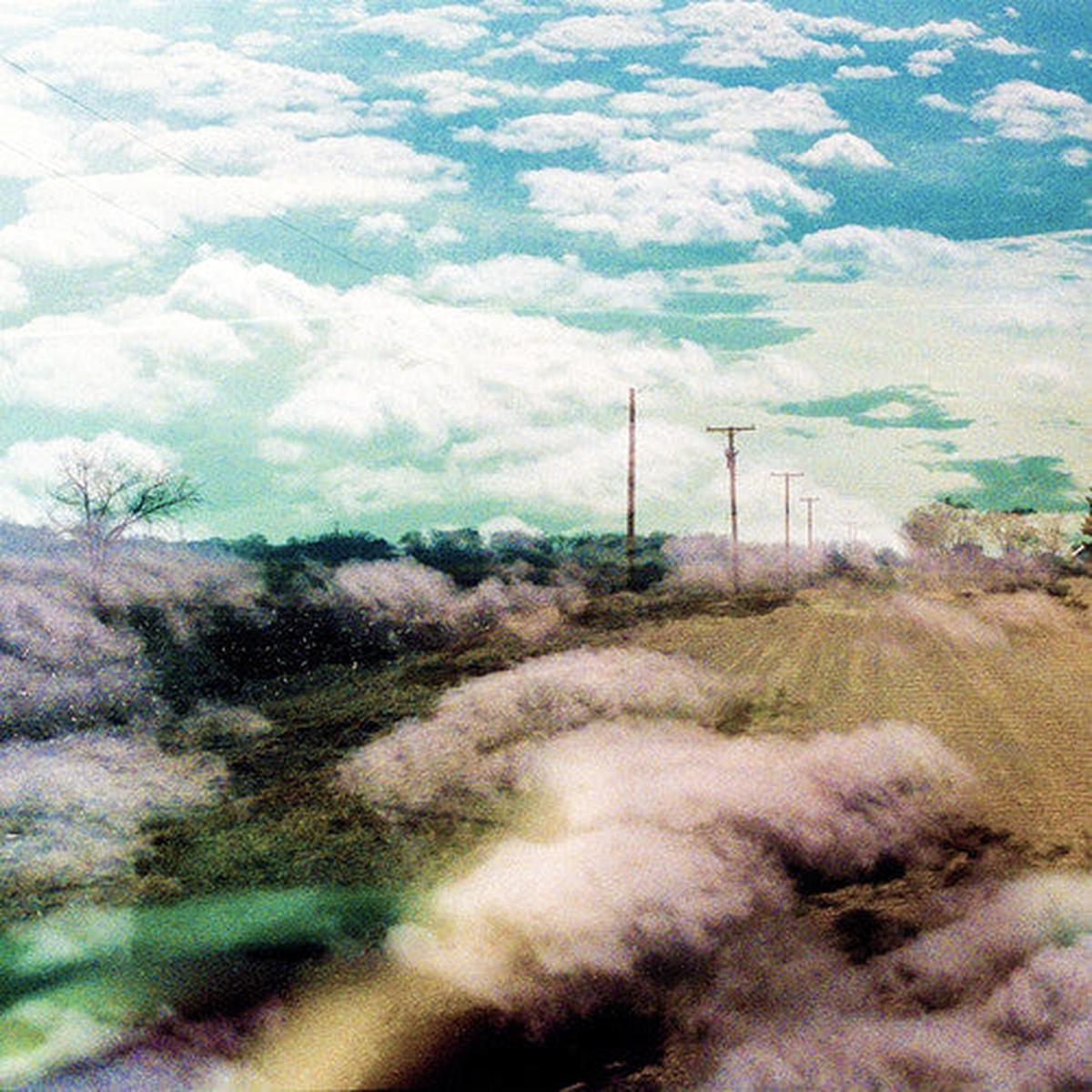 The World Is A Beautiful Place 038 I Am No Longer Afraid To Die 8211 Always Foreign Indie Exclusive Limited Edition Clear LP