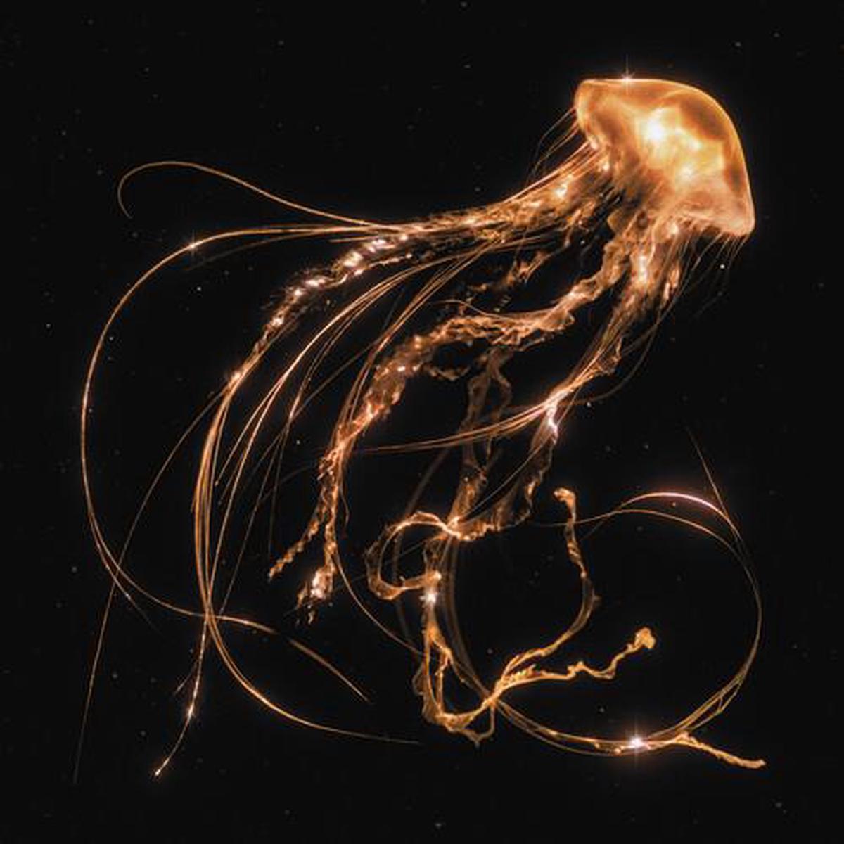 Back To The Water Below – Vinyl LP