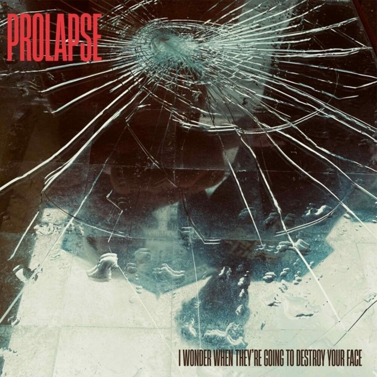 Prolapse 8211 I Wonder When They8217re Going To Destroy Your Face LP