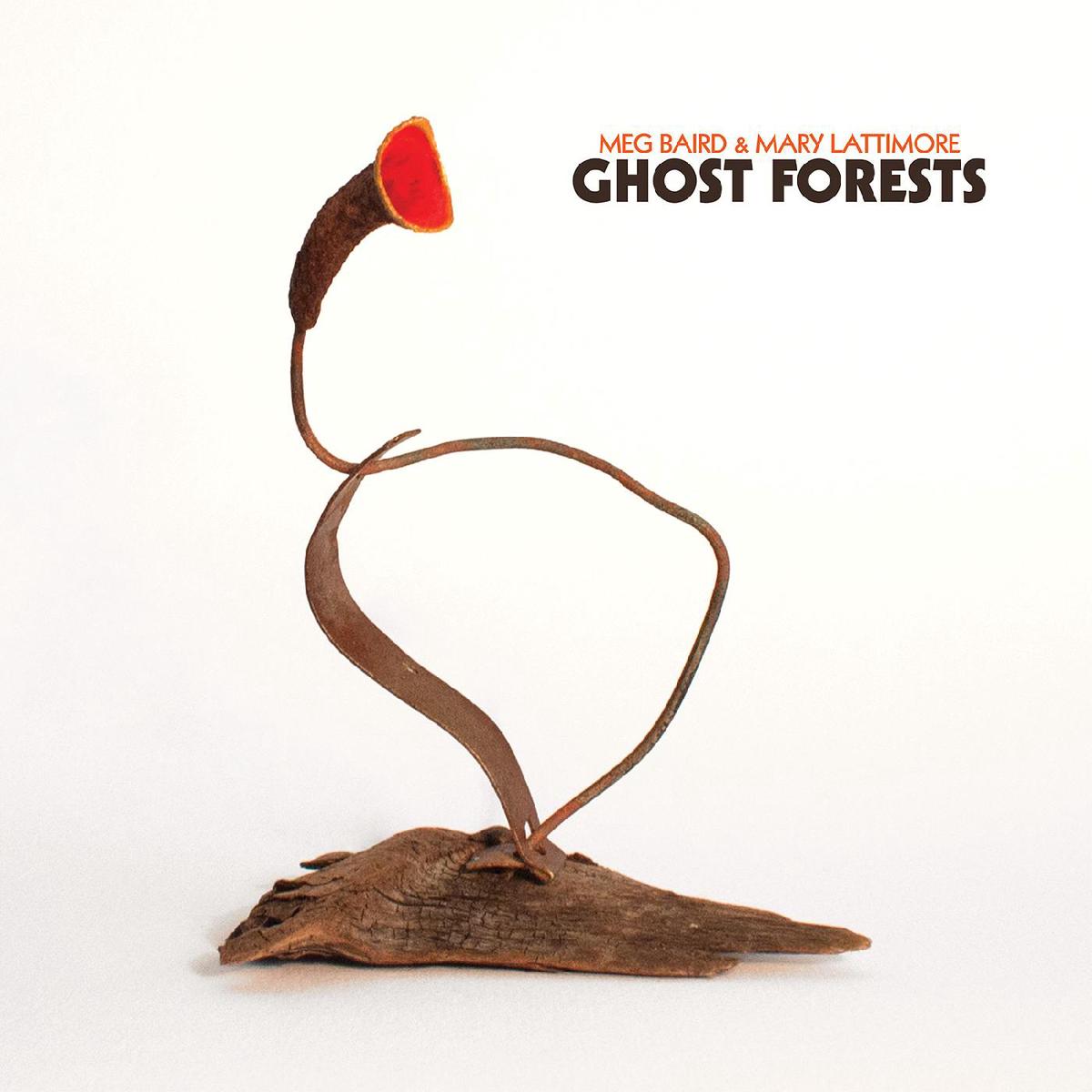 Meg And Mary Lattimore Baird Ghost Forests (GREEN VINYL) – Default Title