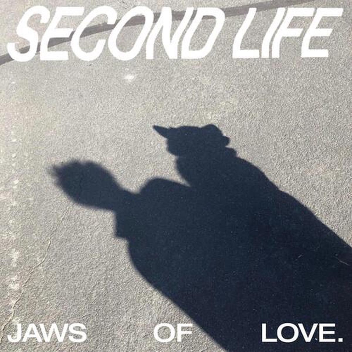 Second Life – Eco-Mix Colored Vinyl – Vinyl LP