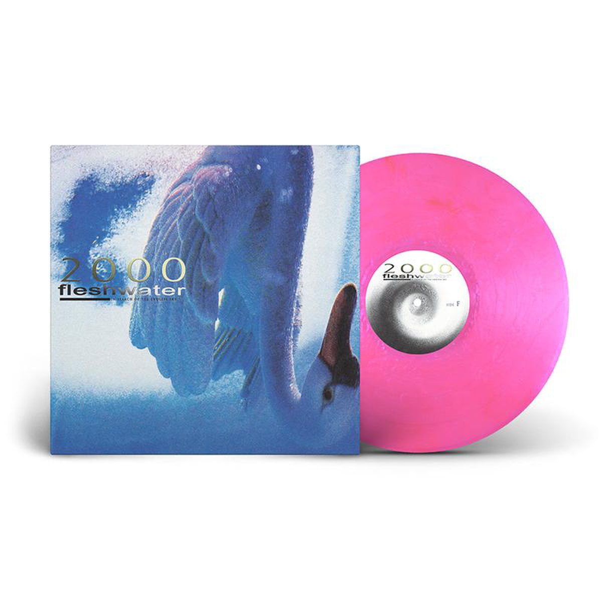 FLESHWATER 8211 2000 In Search Of The Endless Sky 8211 LP 8211 Fluorescent Pink Vinyl SEP 5