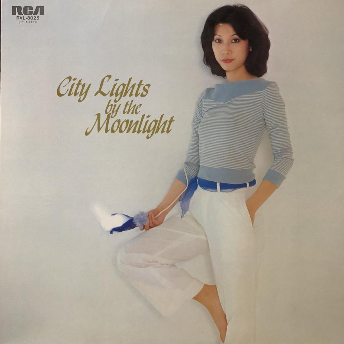 "City Lights by the Moonlight"
