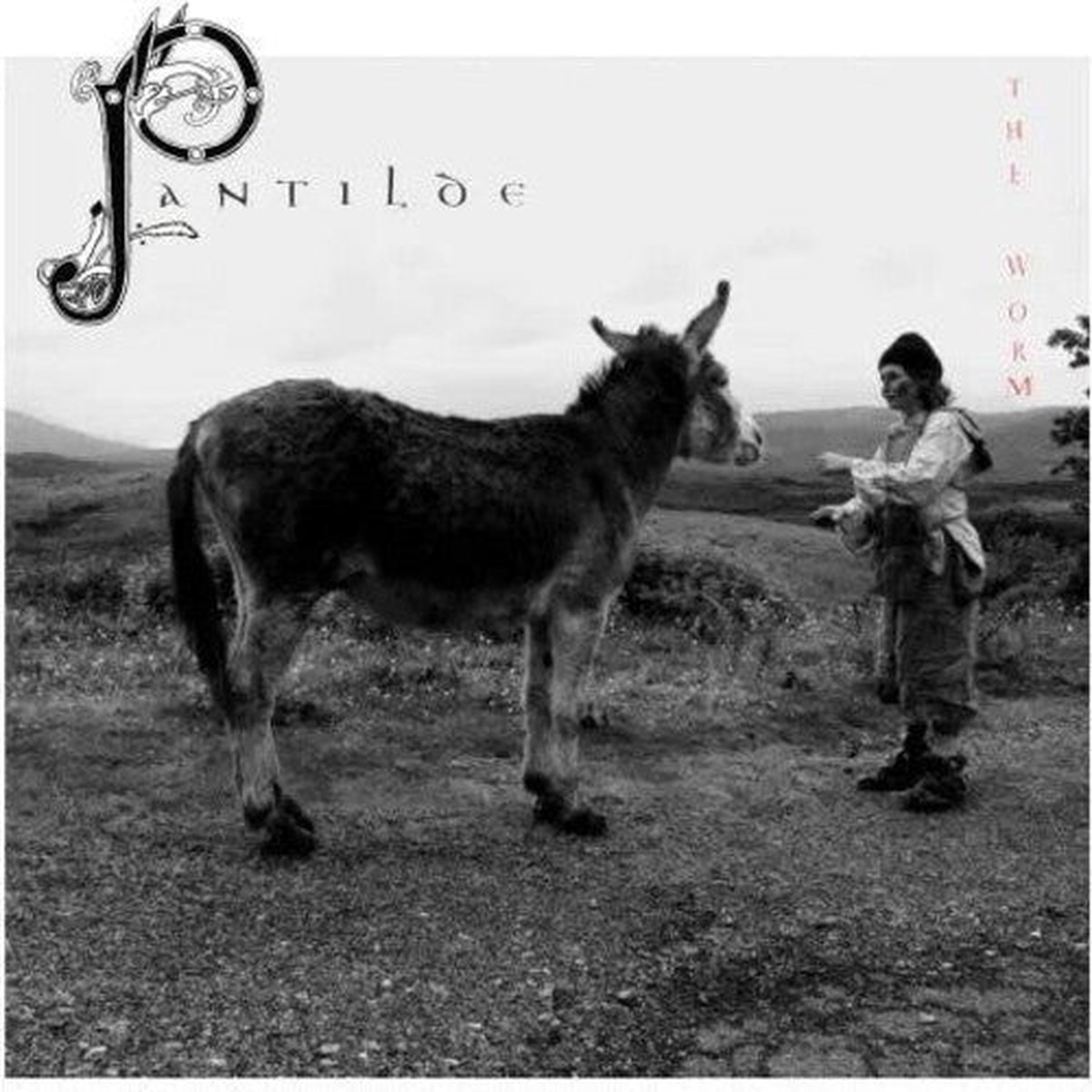 Worm Pantilde - Record Album - Vinyl LP