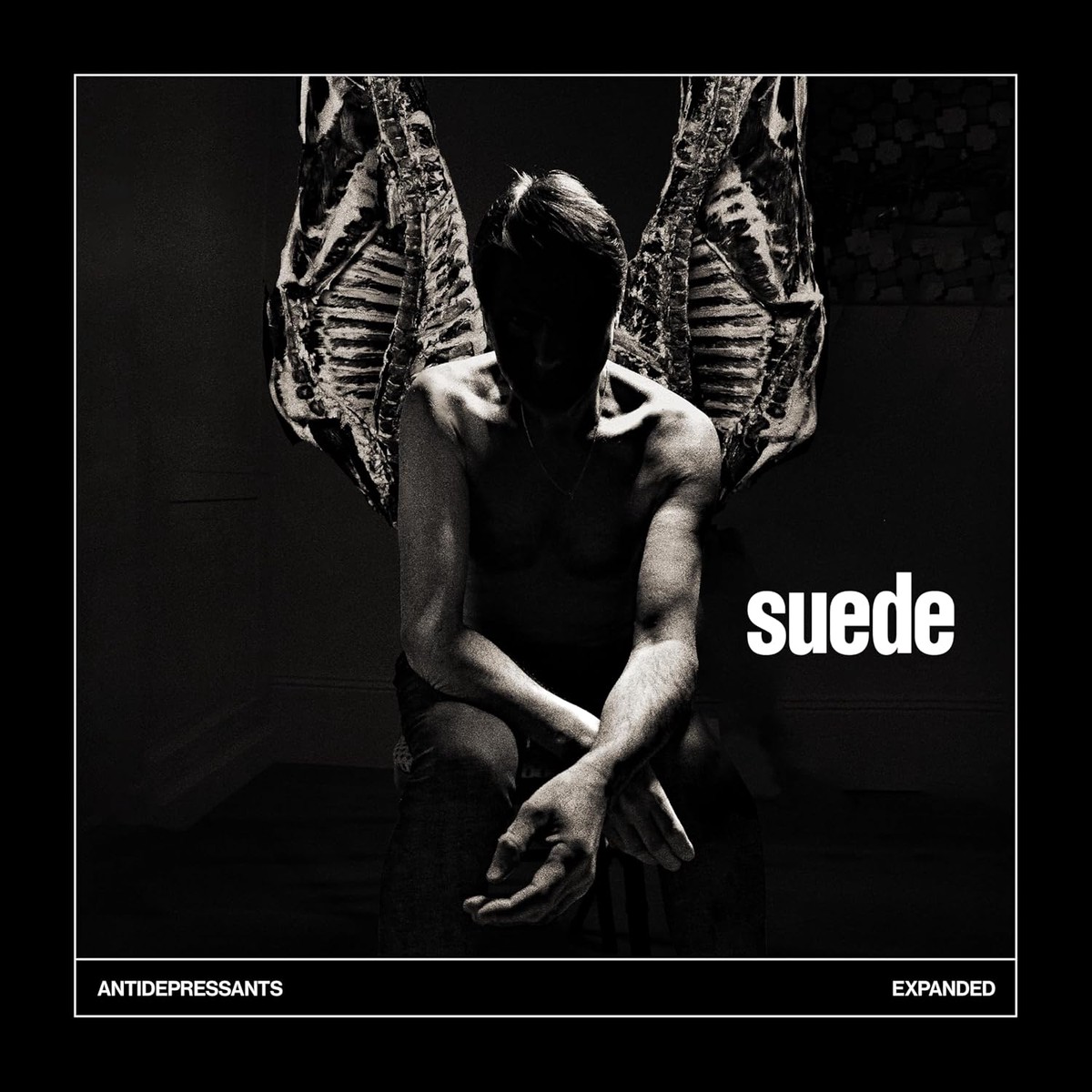 2CD - Suede - Antidepressants