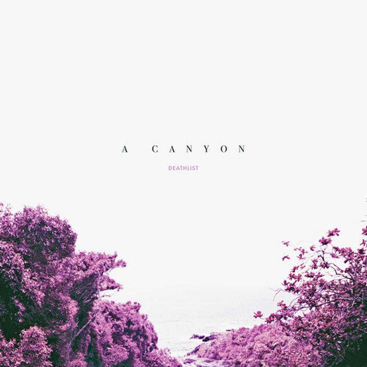 A Canyon [Download Included]