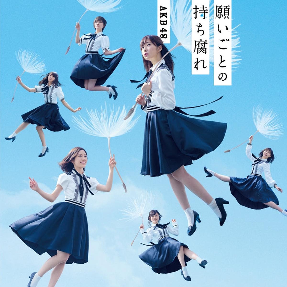 (Maxi Single) AKB48 Negaigoto no Mochigusare Type C Regular Edition CDDVD