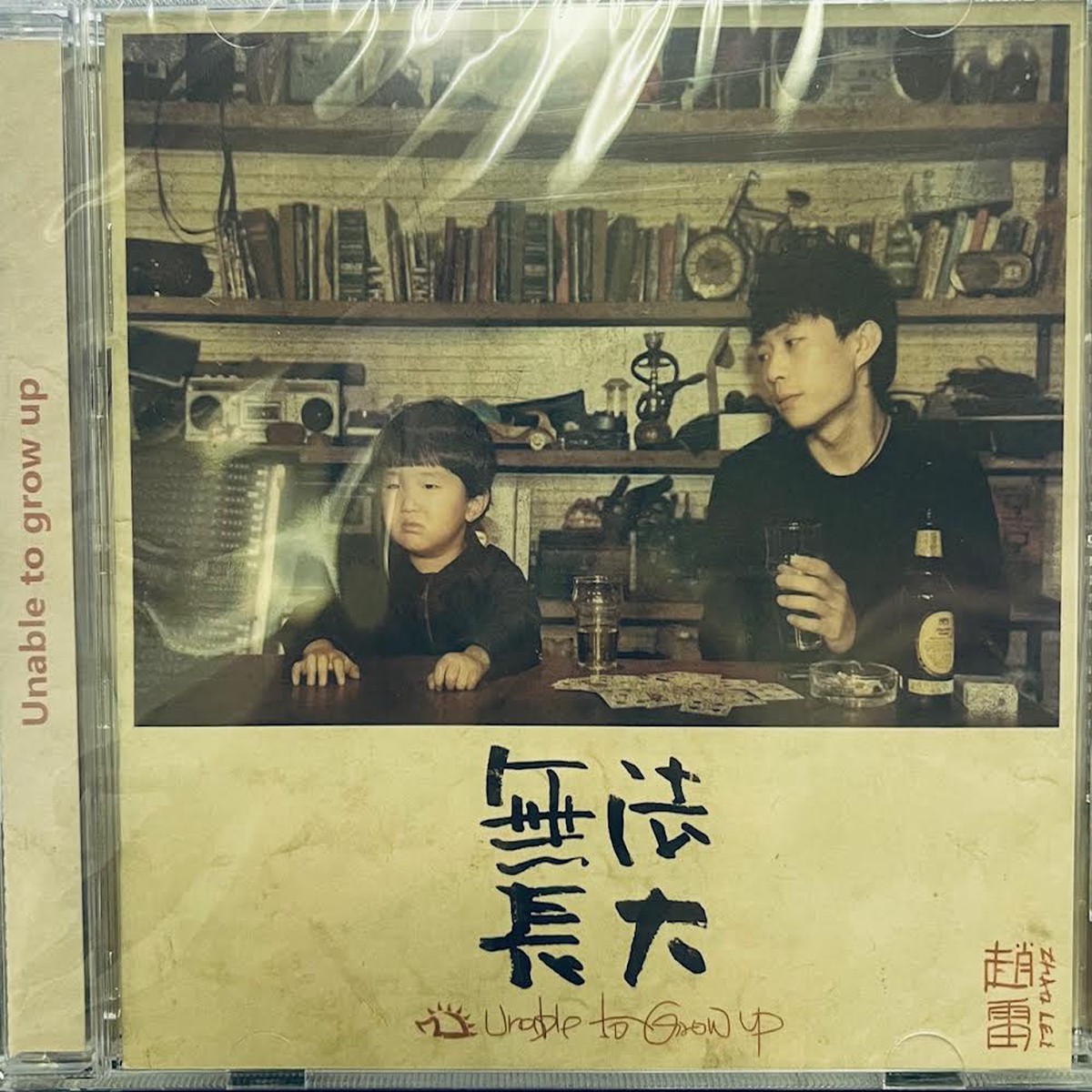 ZHAO LEI -   (CD)