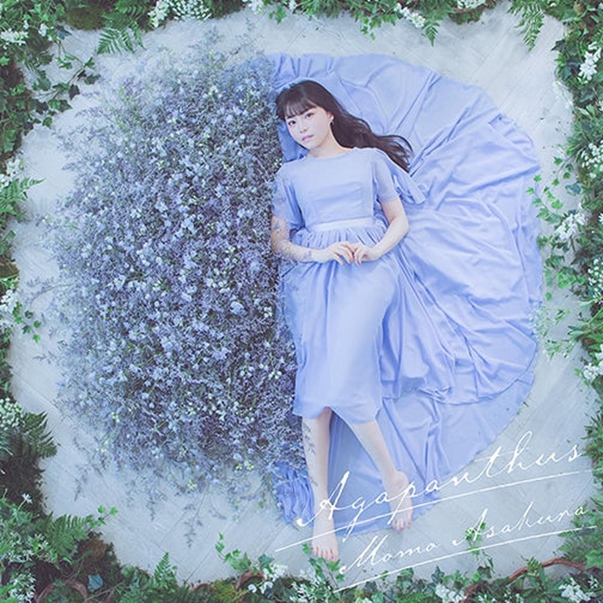 (Album) Agapanthus by Momo Asakura [First Run Limited Edition]