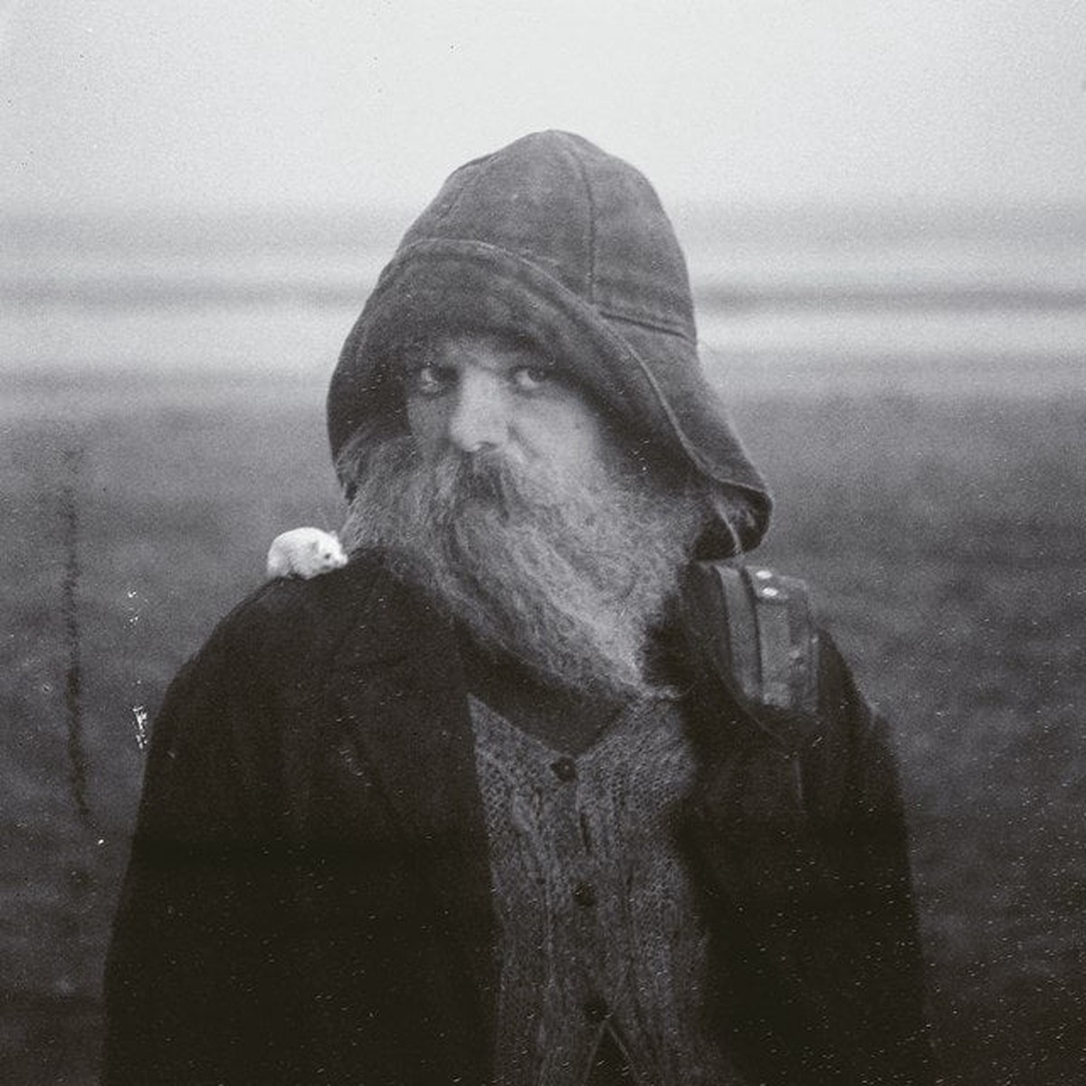 Mary In The Junkyard - Role Model Hermit (New Vinyl)