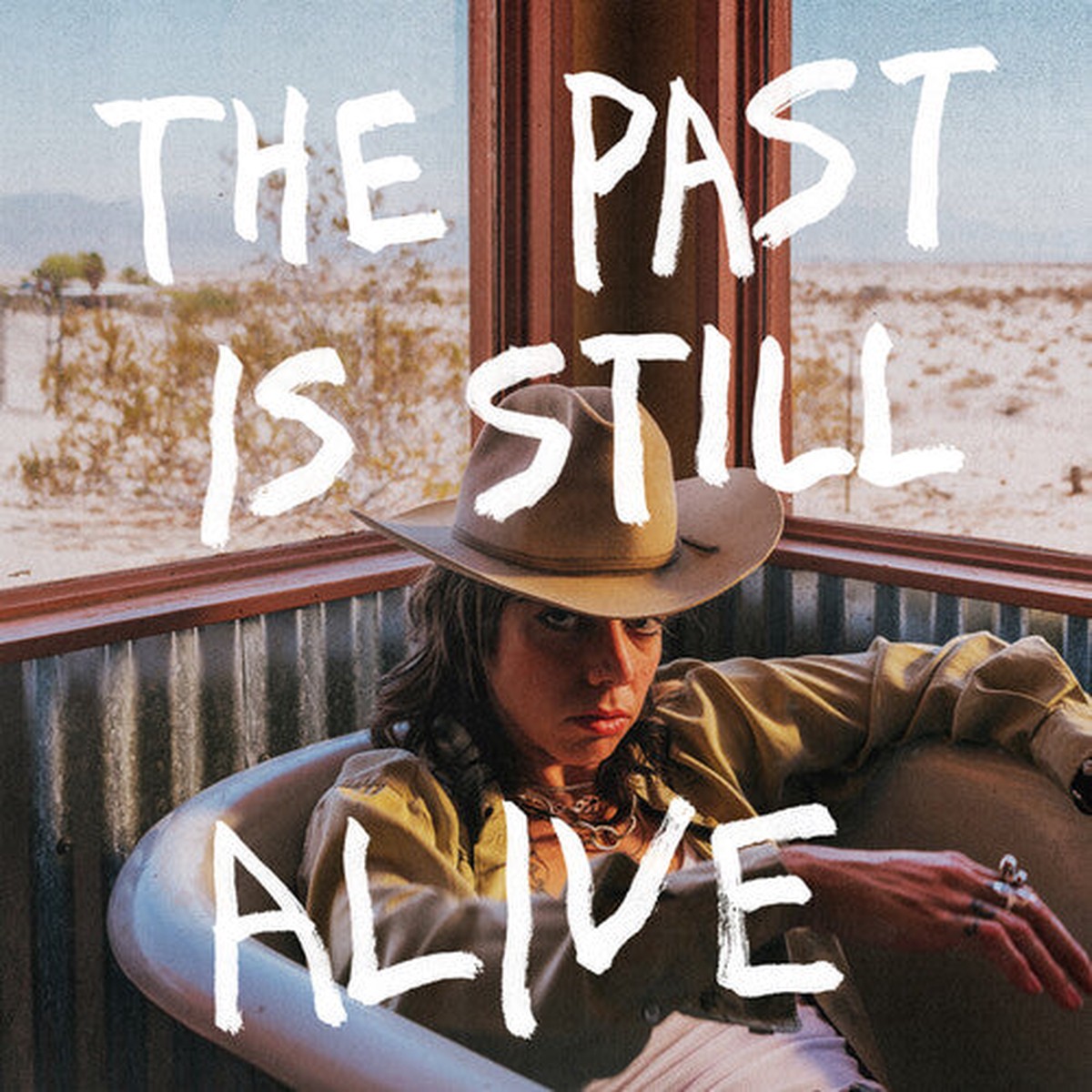 [DAMAGED] Hurray for the Riff Raff - The Past Is Still Alive [Cherry Eco-Mix Vinyl]