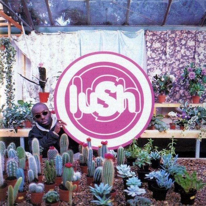 [DAMAGED] Lush - Lovelife