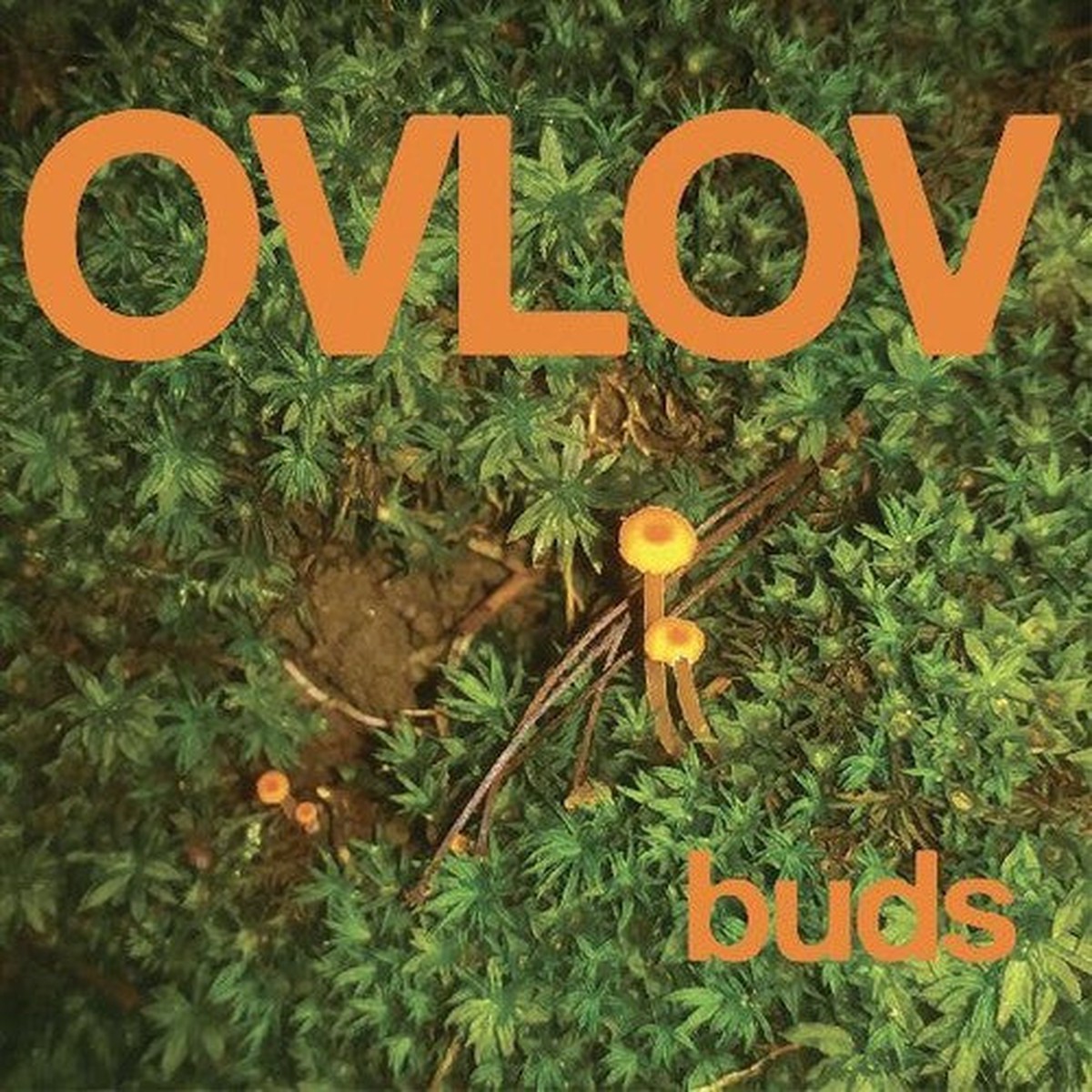 [DAMAGED] Ovlov - Buds [Indie-Exclusive Orange Vinyl]