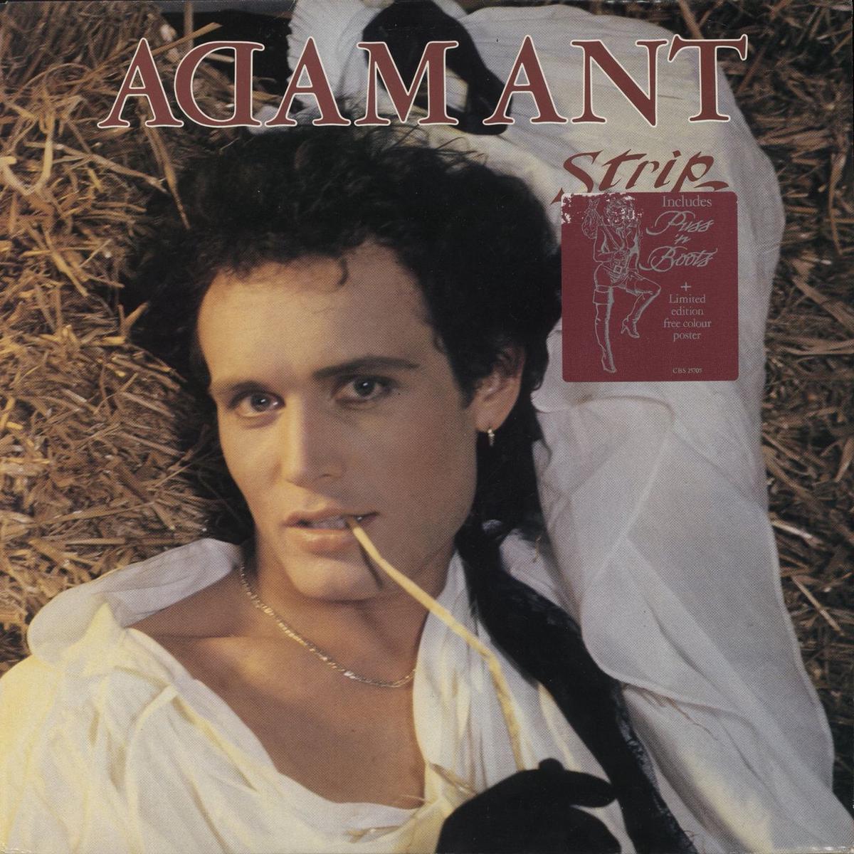 Adam Ant Strip + Poster UK Vinyl LP