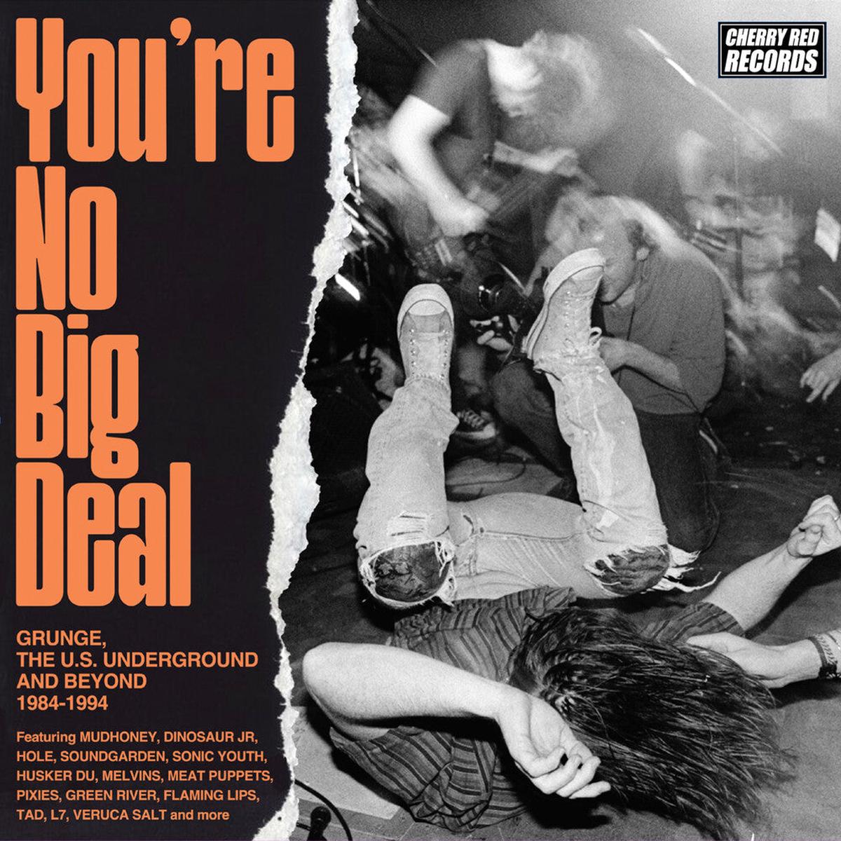 You re No Big Deal: Grunge Us Underground & Beyond - You re No Big Deal: Grunge Us Underground & Beyond