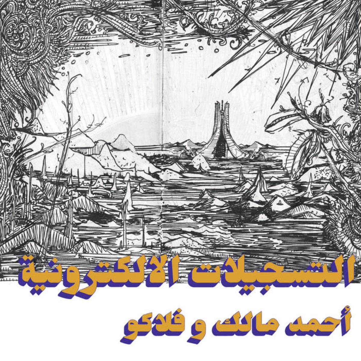 Ahmed Malek - The Electronic Tapes (Habibi Funk) (Arrives in 21 days)