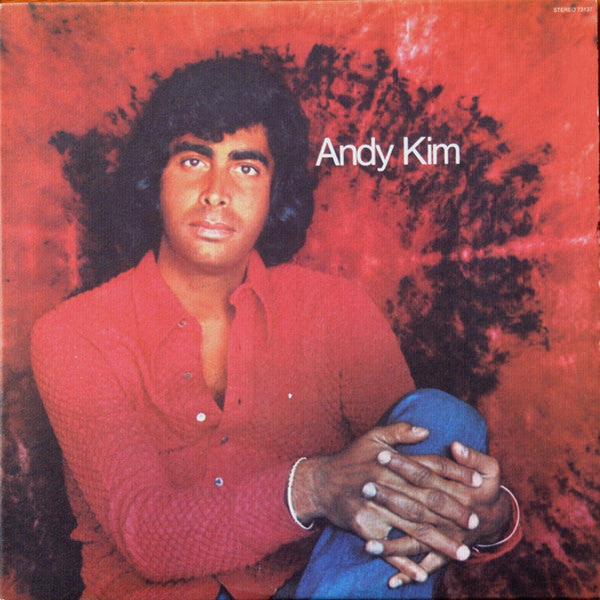 Andy Kim Andy Kim - 1973 -Pop (Vinyl)