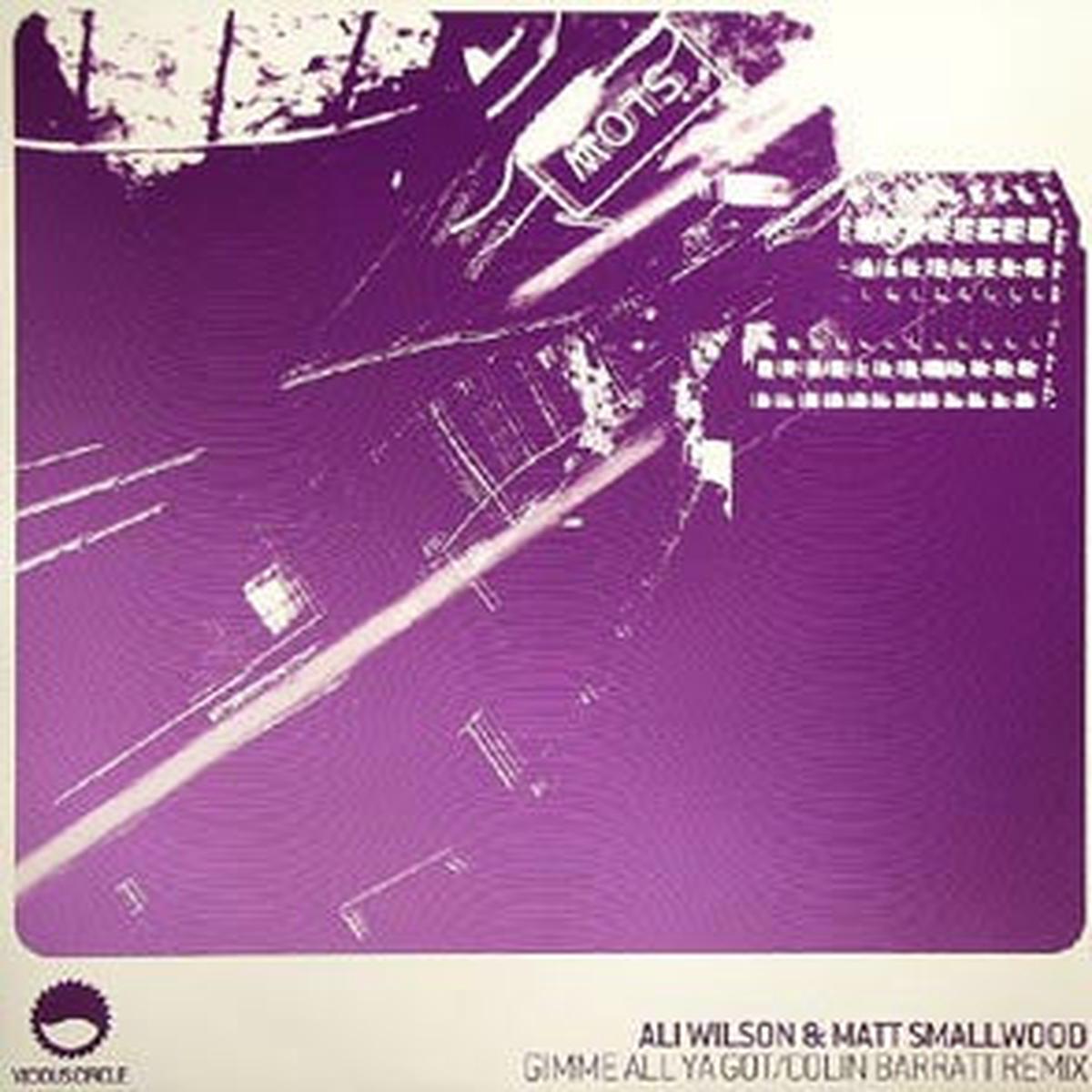 Ali Wilson & Matt Smallwood - Gimme All Ya Got (SF HARDH) NM or M-