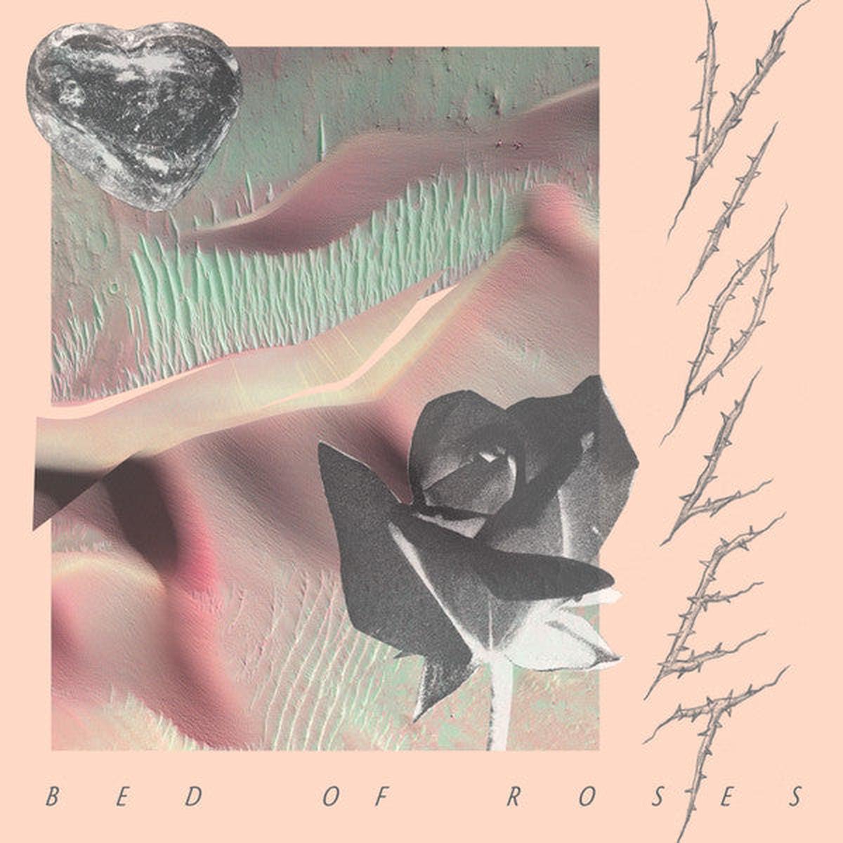 Violet - Bed Of Roses () M