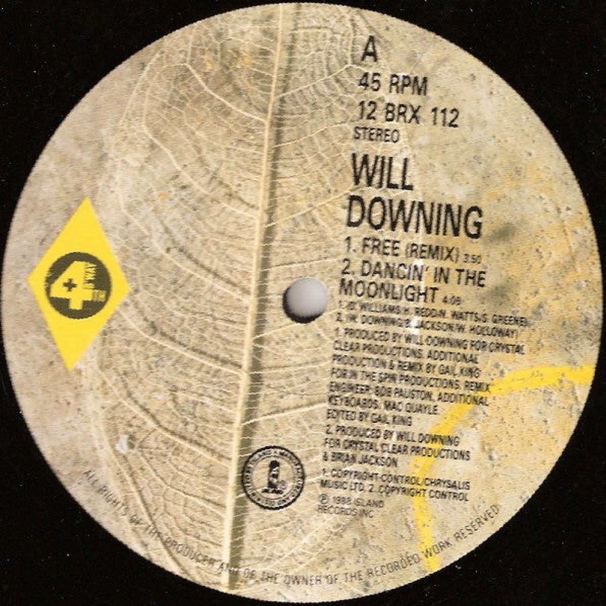 Will Downing - Free (The 'Freemix' E.P.) (1314) VG