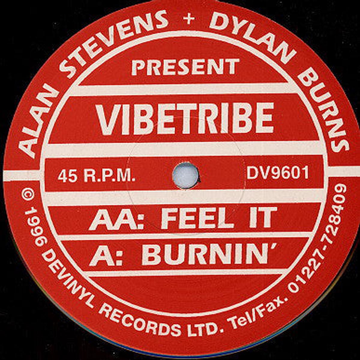 Alan Stevens And Dylan Burns Present Vibetribe - Burnin' () VG+